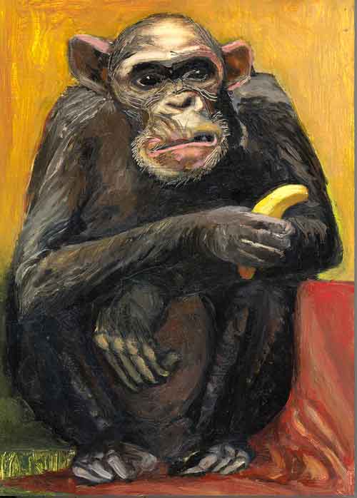 grumpy chimp with banana