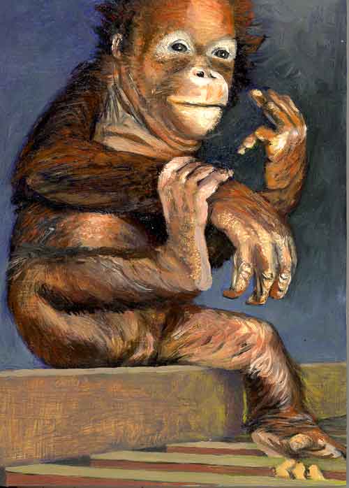 orangutan